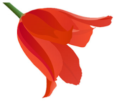 02006u7h-fd10-237x207.png