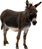 02006vez-7646-940x1083.png