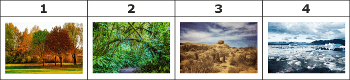 02006vrh-24cf.png