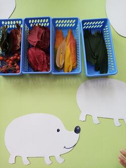 02006x3v-f2cd-250x333.jpg