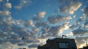 Презентація музика в житті людини для ур. Музичного мистецтва