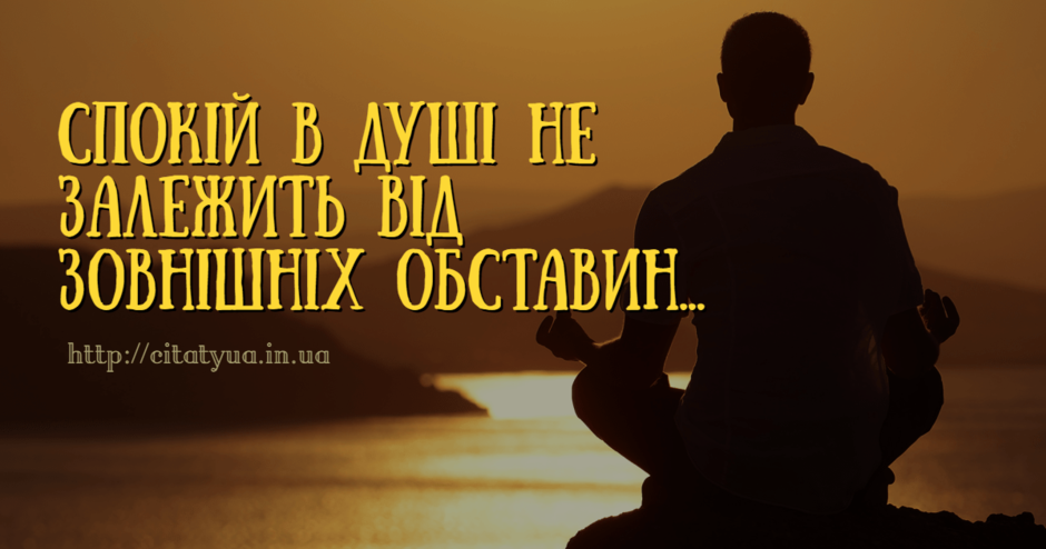 02006y35-f1dd-940x494.png