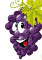 020070xt-087b-162x229.png