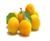 0200710x-3fc1-208x172.png