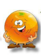 0200710y-b811-141x189.png