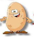 02007149-d8d0-115x126.png