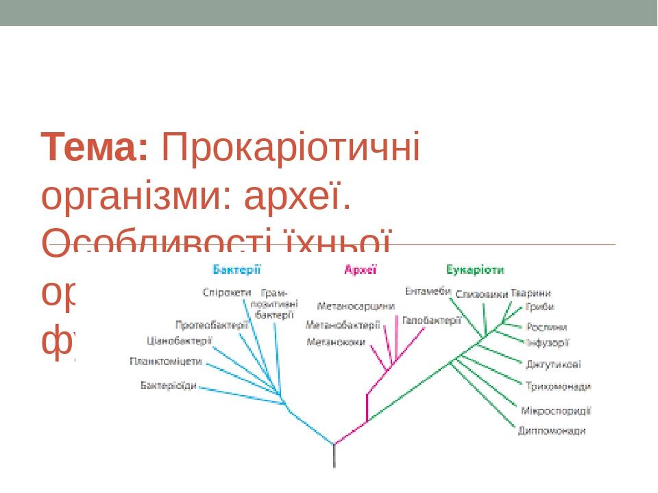 Тема: Прокаріотичні організми: археї. Особливості їхньої організації та функціонування.