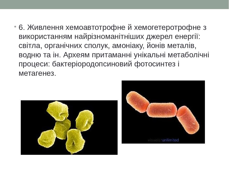 6. Живлення хемоавтотрофне й хемогетеротрофне з використанням найрізноманітніших джерел енергії: світла, органічних сполук, амоніаку, йонів металів...