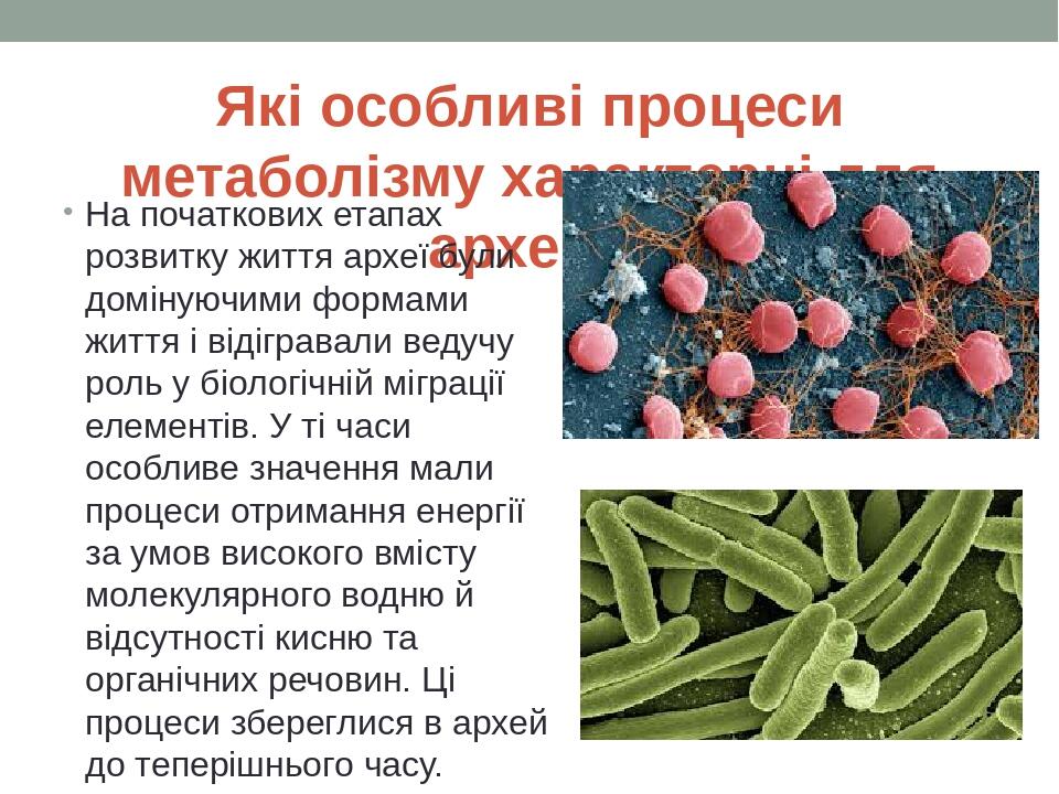 Які особливі процеси метаболізму характерні для архей? На початкових етапах розвитку життя археї були домінуючими формами життя і відігравали ведуч...