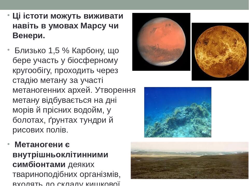 Ці істоти можуть виживати навіть в умовах Марсу чи Венери. Близько 1,5 % Карбону, що бере участь у біосферному кругообігу, проходить через стадію м...