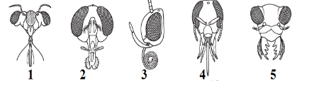 0200727u-b8c0-681x188.png