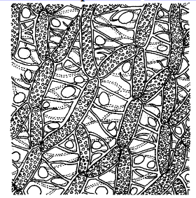 0200728i-7f58-280x283.png