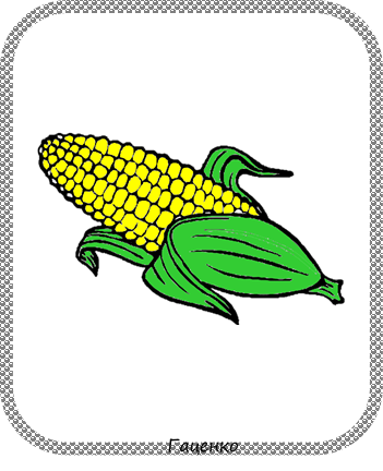 020072wm-4739.png
