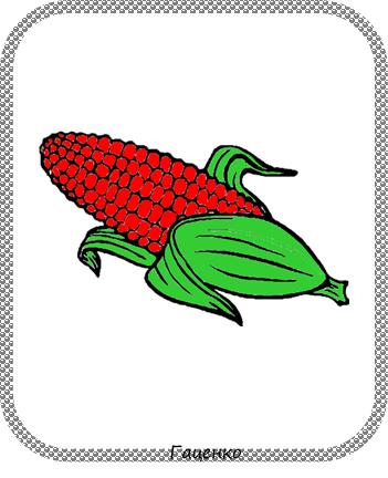 020072wo-53dc.png