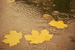 020073p5-b545-247x165.jpg