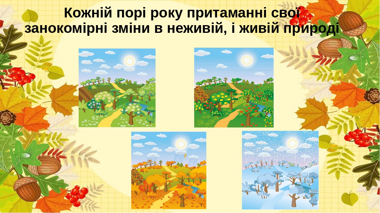 Що називають явищами природи?