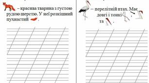 2 клас. Комбіновані завдання з малюнками для списування.Українська мова.  НУШ