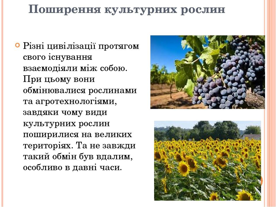 Конопля таджикистан Конопля таджикистан tor browser проблемы с установкой hydra