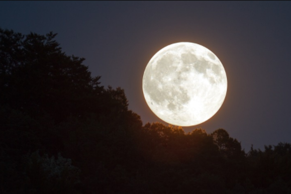 020076xd-d866-579x386.png