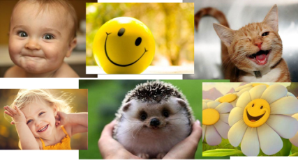 020077gn-cf10-427x240.png