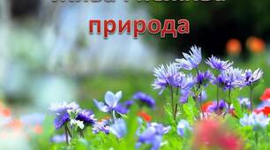 Жива і не жива природа