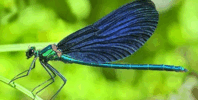 020078qu-5714-286x145.png