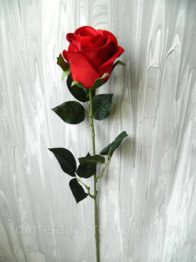 020078vx-020e-196x262.png