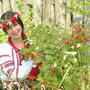 https://fs02.vseosvita.ua/020078x4-bcdd-90x90.jpg