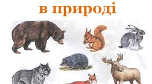 Тест до теми «Тварини в природі»