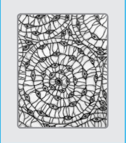 02007a2x-952e-246x279.png