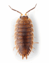 02007b05-5e01-129x167.png