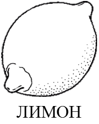 02007b4n-e76a.png