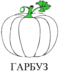 02007b4o-8de6.png