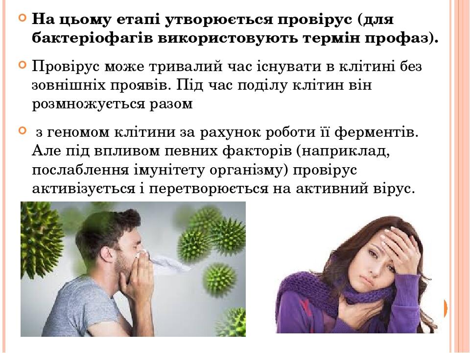 На цьому етапі утворюється провірус (для бактеріофагів використовують термін профаз). Провірус може тривалий час існувати в клітині без зовнішніх п...