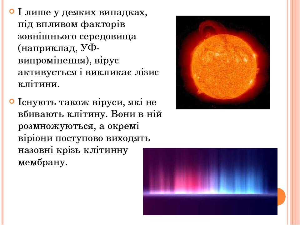 І лише у деяких випадках, під впливом факторів зовнішнього середовища (наприклад, УФ-випромінення), вірус активується і викликає лізис клітини. Існ...