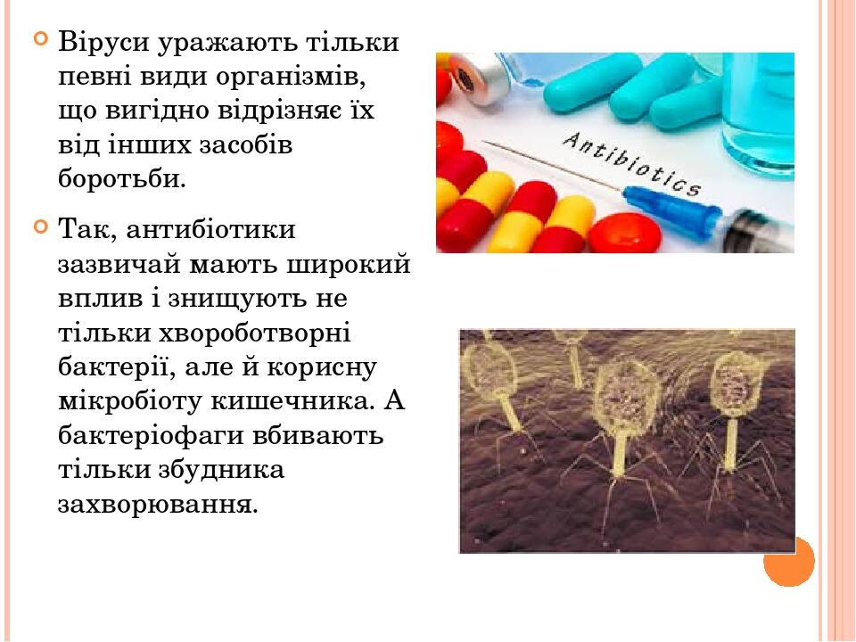 Віруси уражають тільки певні види організмів, що вигідно відрізняє їх від інших засобів боротьби. Так, антибіотики зазвичай мають широкий вплив і з...