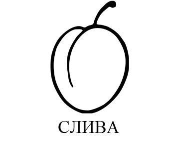 02007biz-e806.png