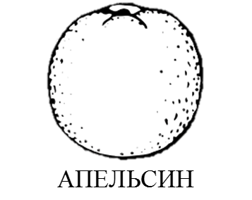02007bj0-623d.png