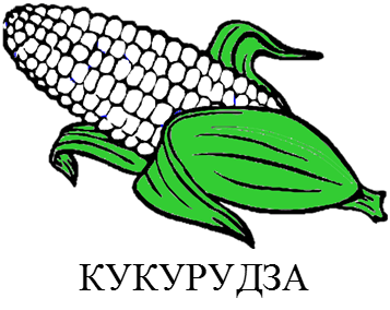 02007bm3-d1b9.png