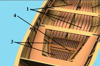 02007dzu-ad40-335x221.png