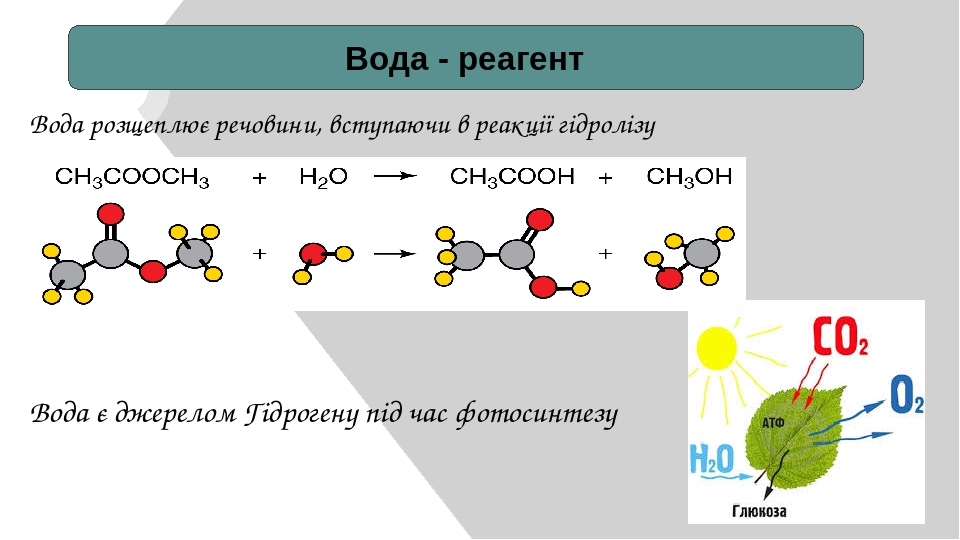 Вода как реагент и среда для химического процесса презентация