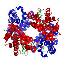 02007e84-42d2.png