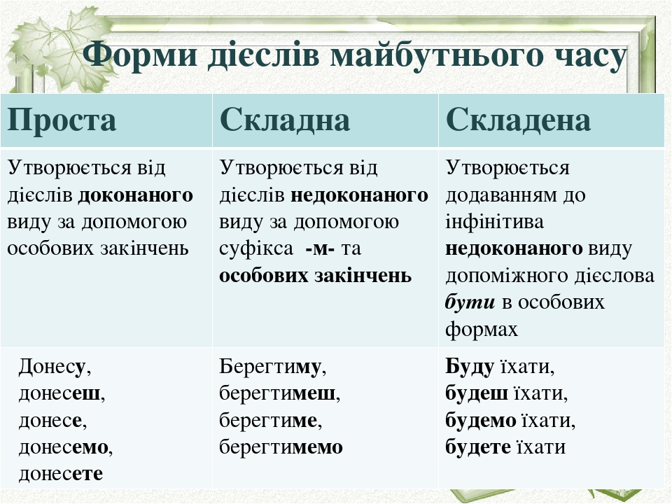 Форма плевы фото