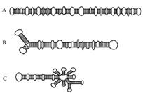 02007ec2-c6a3.png