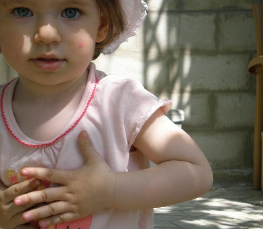 02007eid-e174-519x452.jpg