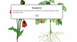 Інтерактивна гра  "Будова рослин"
