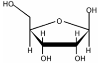 02007g6j-0bc8.png
