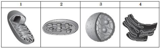 02007g88-22c7-513x156.png