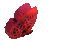 02007gio-e4f6-41x38.gif