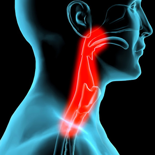 02007gj0-e402-512x512.png